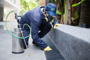 Pest Control Services Sydney