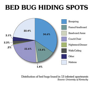 Bedbug Pest Control Sydney
