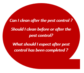 After Pest Control
