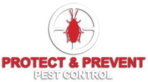 Bed Bug Treatment Sydney