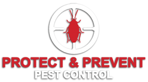 PNP Pest Control Sydney