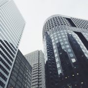 commercial pest control services sydney