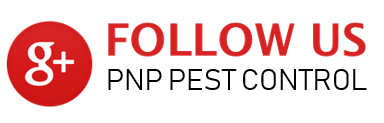 PNP Pest Control Sydney